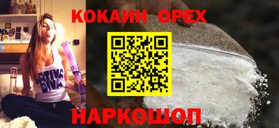 шишки Обь