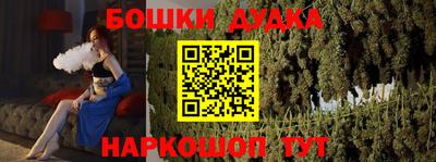 шишки Обь