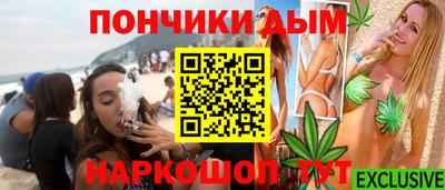 шишки Обь