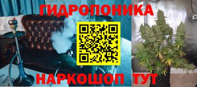 шишки Обь