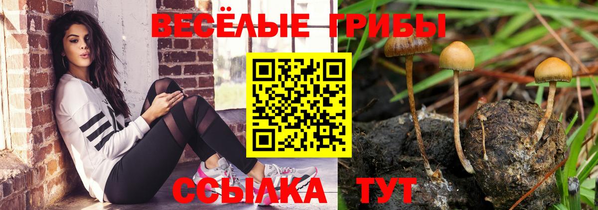 Псилоцибиновые грибы ЛСД  Вход с VPN  наркотики  Урус-Мартан  Галлюциногенные грибы прущие грибы 